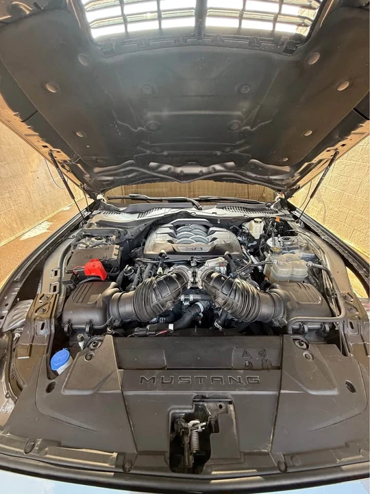 2024 Ford S650 Mustang - Image 9 of 10