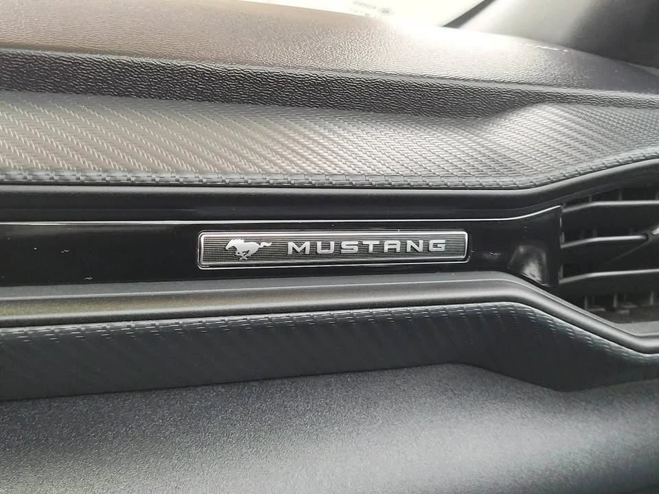 2024 Ford S650 Mustang - Image 8 of 14