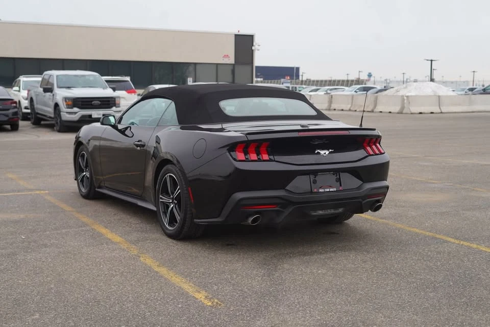 2024 Ford S650 Mustang - Image 4 of 18
