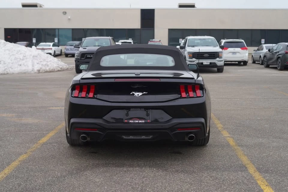 2024 Ford S650 Mustang - Image 5 of 18