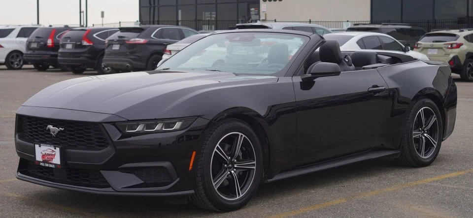 2024 Ford S650 Mustang - Image 2 of 18