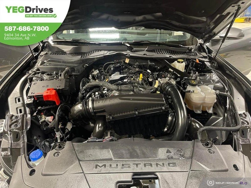 2024 Ford S650 Mustang - Image 6 of 19