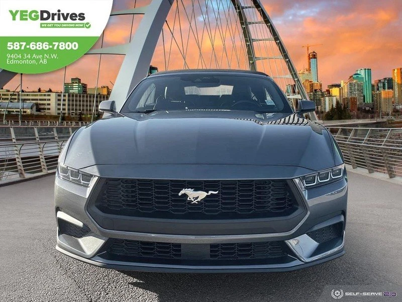 2024 Ford S650 Mustang - Image 2 of 19
