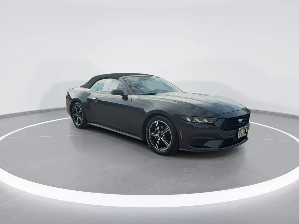 2024 Ford S650 Mustang - Image 8 of 19