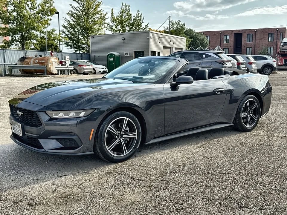2024 Ford S650 Mustang - Image 2 of 19