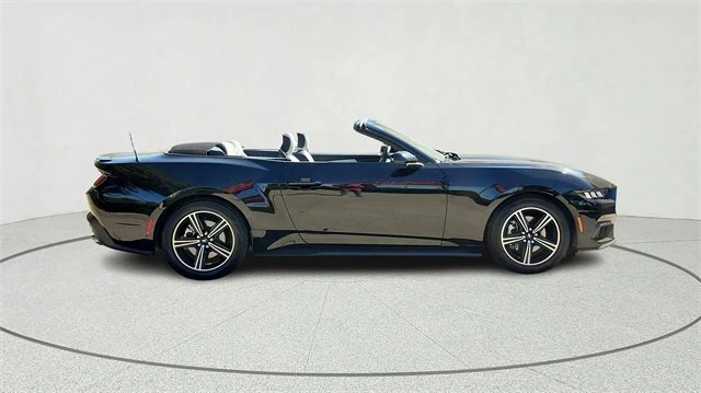 2024 Ford S650 Mustang - Image 2 of 20