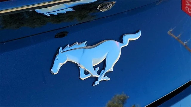 2024 Ford S650 Mustang - Image 12 of 20