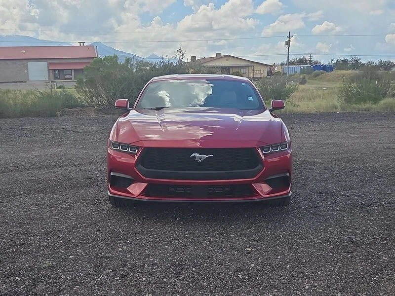 2024 Ford S650 Mustang - Image 2 of 20