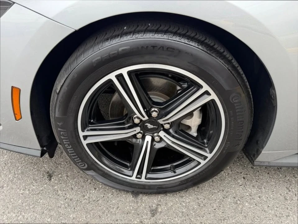 2024 Ford S650 Mustang - Image 10 of 16