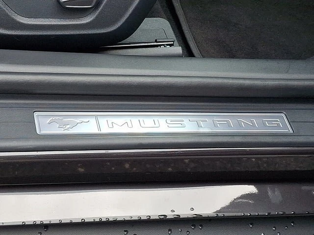 2024 Ford S650 Mustang - Image 15 of 20