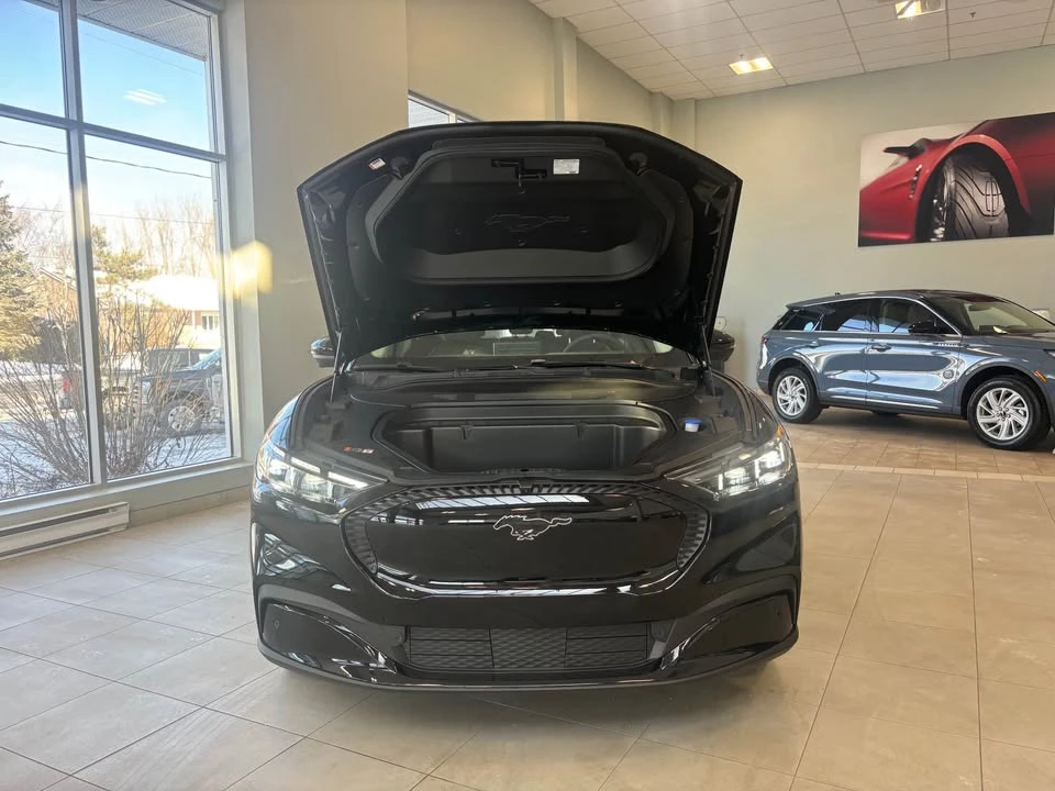 2024 Ford Mustang Mach-E - Image 2 of 14