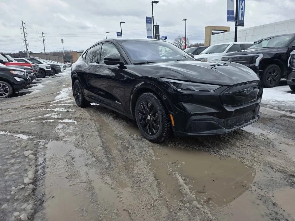 2024 Ford Mustang Mach-E - Image 4 of 14