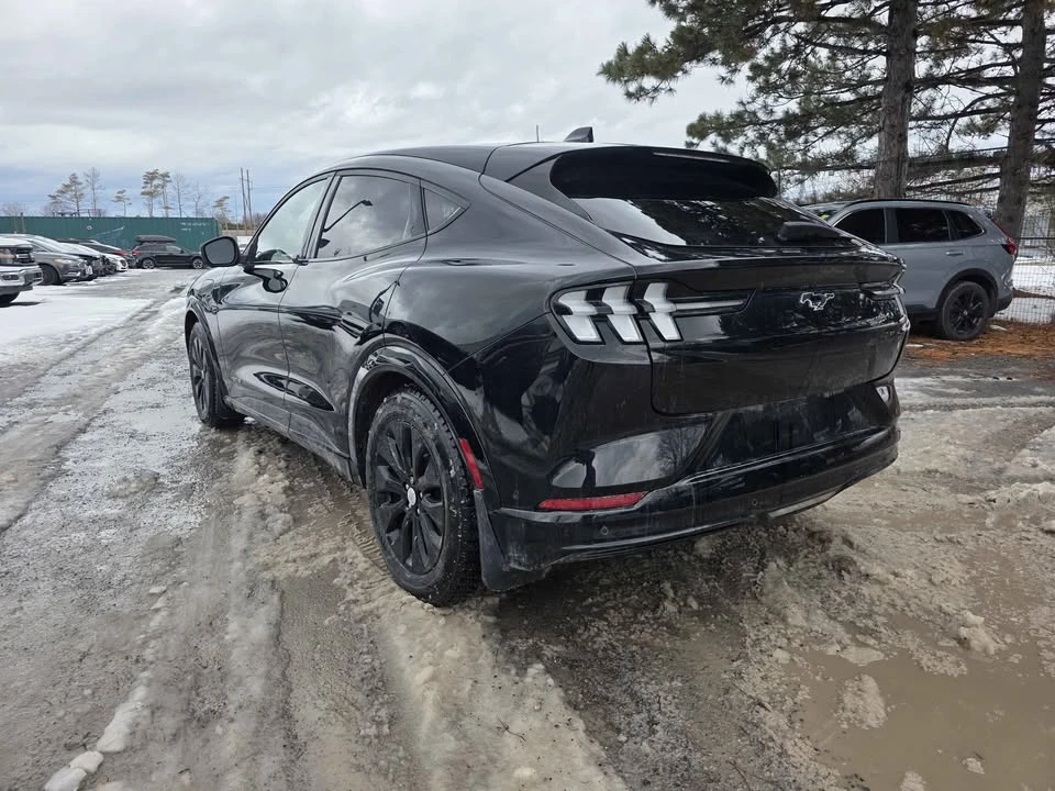 2024 Ford Mustang Mach-E - Image 5 of 14