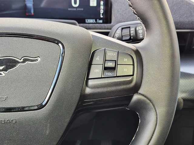 2024 Ford Mustang Mach-E - Image 19 of 20