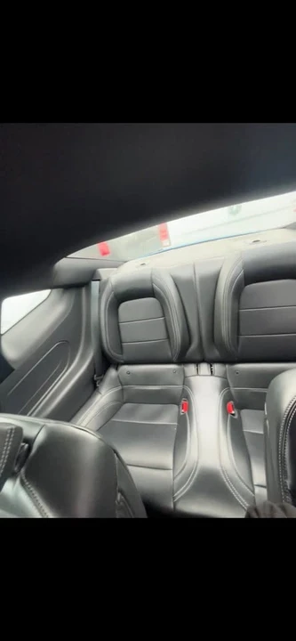 2024 Ford S650 Mustang - Image 10 of 11