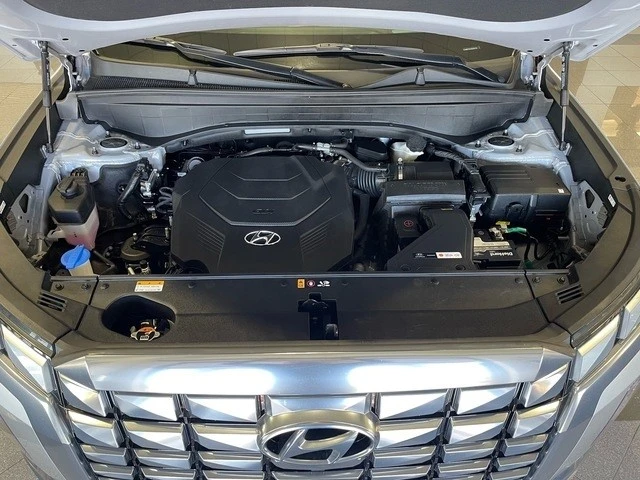 2024 Hyundai Palisade - Image 19 of 21
