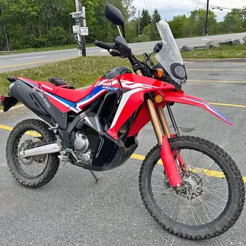 2024 Honda 300L Rally