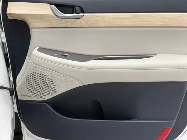 2024 Hyundai Palisade - Image 19 of 21