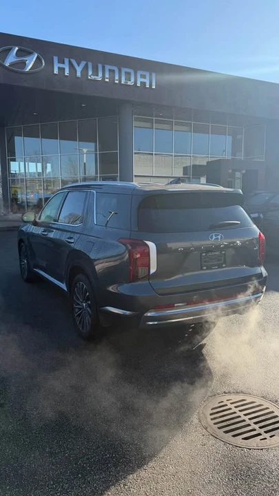 2024 Hyundai Palisade - Image 6 of 20