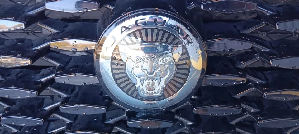 2024 Jaguar F-Pace - Image 10 of 10
