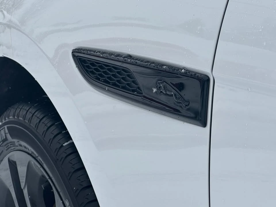2024 Jaguar F-Pace - Image 17 of 20