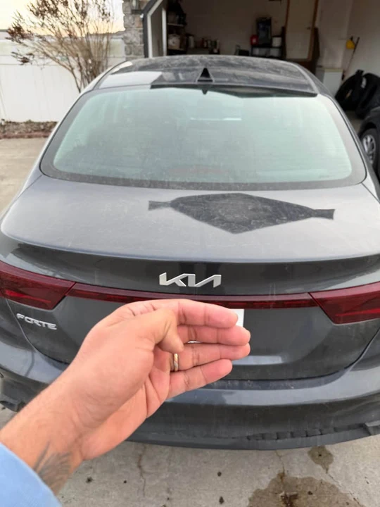2024 Kia Forte - Image 8 of 8