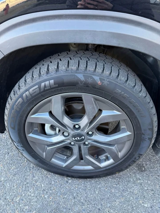 2024 Kia Seltos - Image 16 of 16