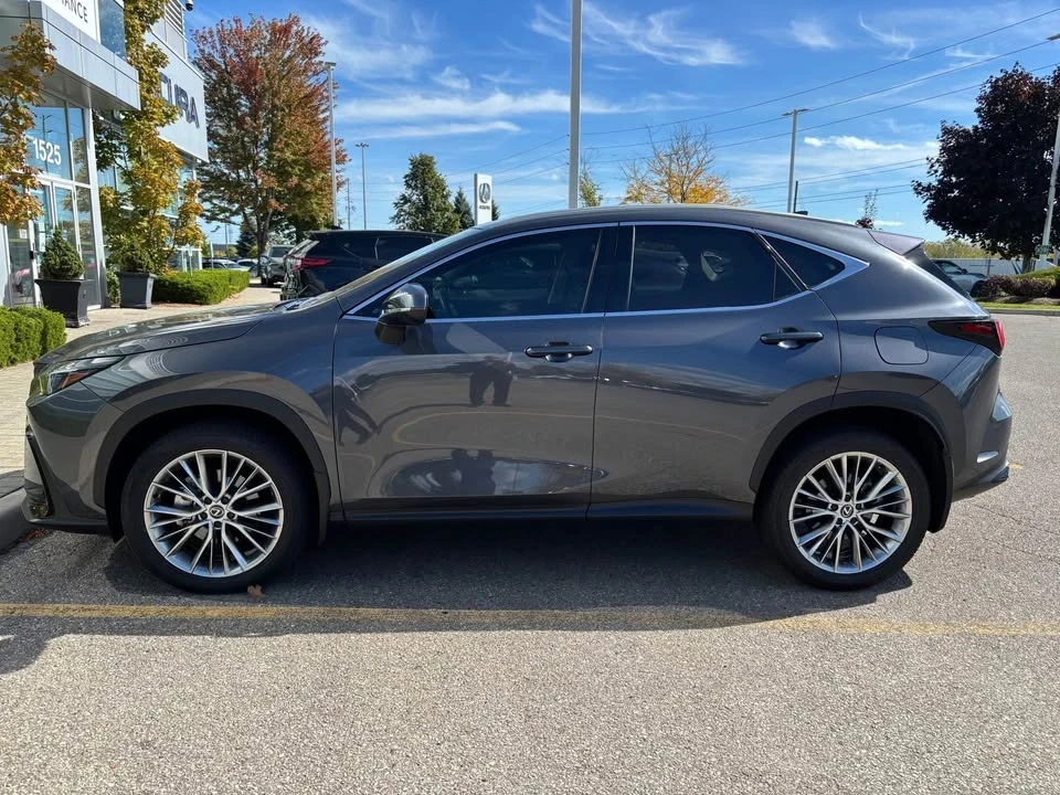 2024 Lexus NX 2nd Gen - Image 4 of 10