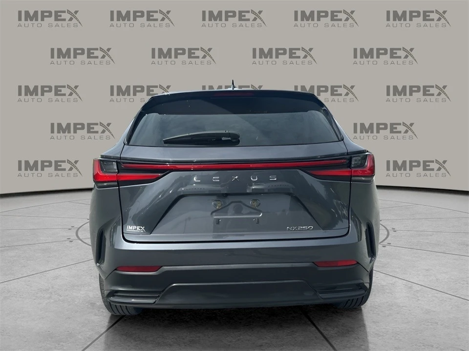 2024 Lexus NX 2nd Gen - Image 4 of 12