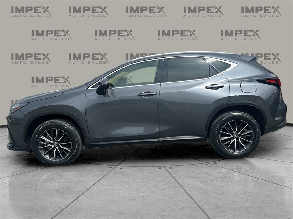 2024 Lexus NX 2nd Gen - Image 2 of 12