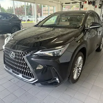 2024 Lexus NX 350 Luxe AWD