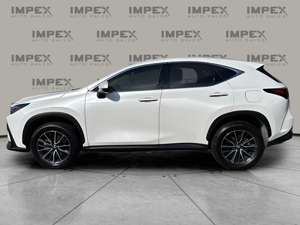 2024 Lexus NX 2nd Gen - Image 2 of 12