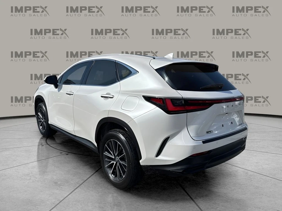 2024 Lexus NX 2nd Gen - Image 3 of 12