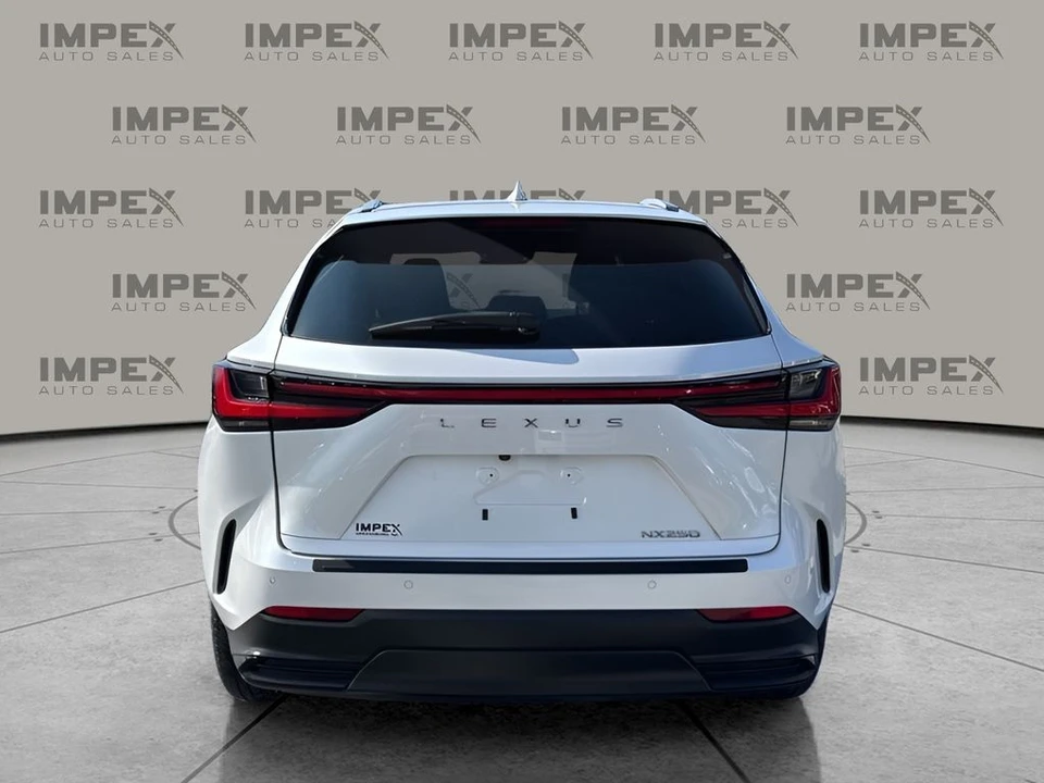 2024 Lexus NX 2nd Gen - Image 4 of 12
