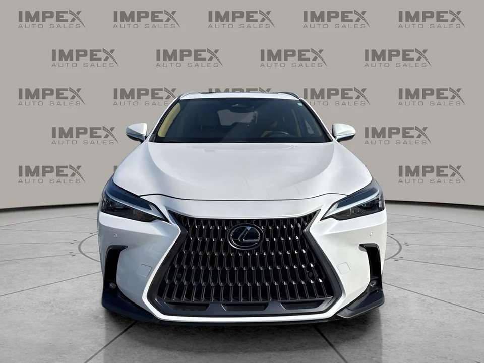 2024 Lexus NX 2nd Gen - Image 8 of 12