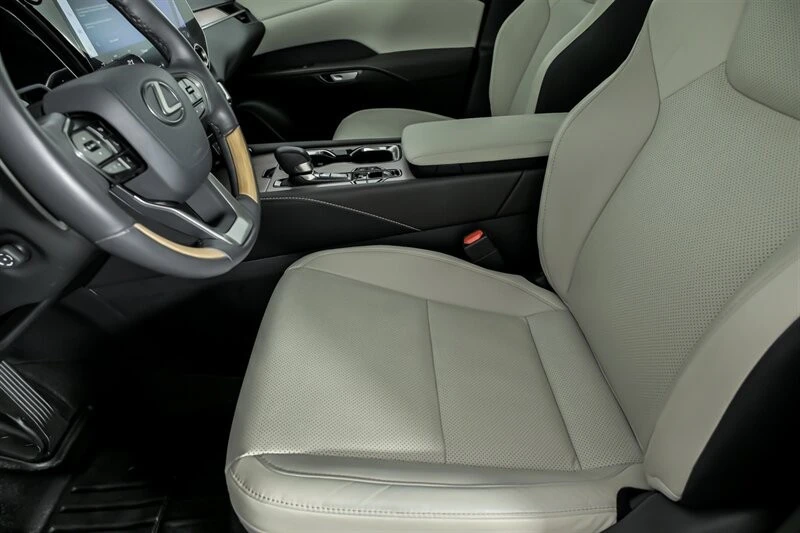2024 Lexus RX 5th Gen - Image 20 of 21