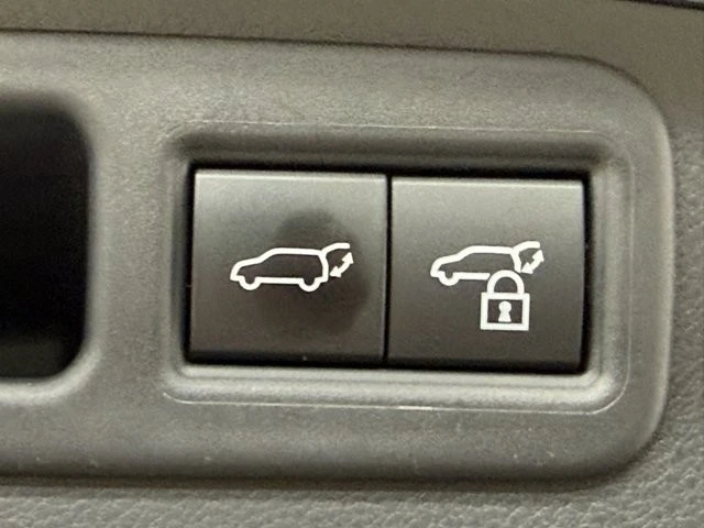 2024 Lexus RX 5th Gen - Image 12 of 12
