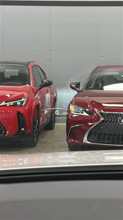 2024 Lexus RX 5th Gen - Image 8 of 9