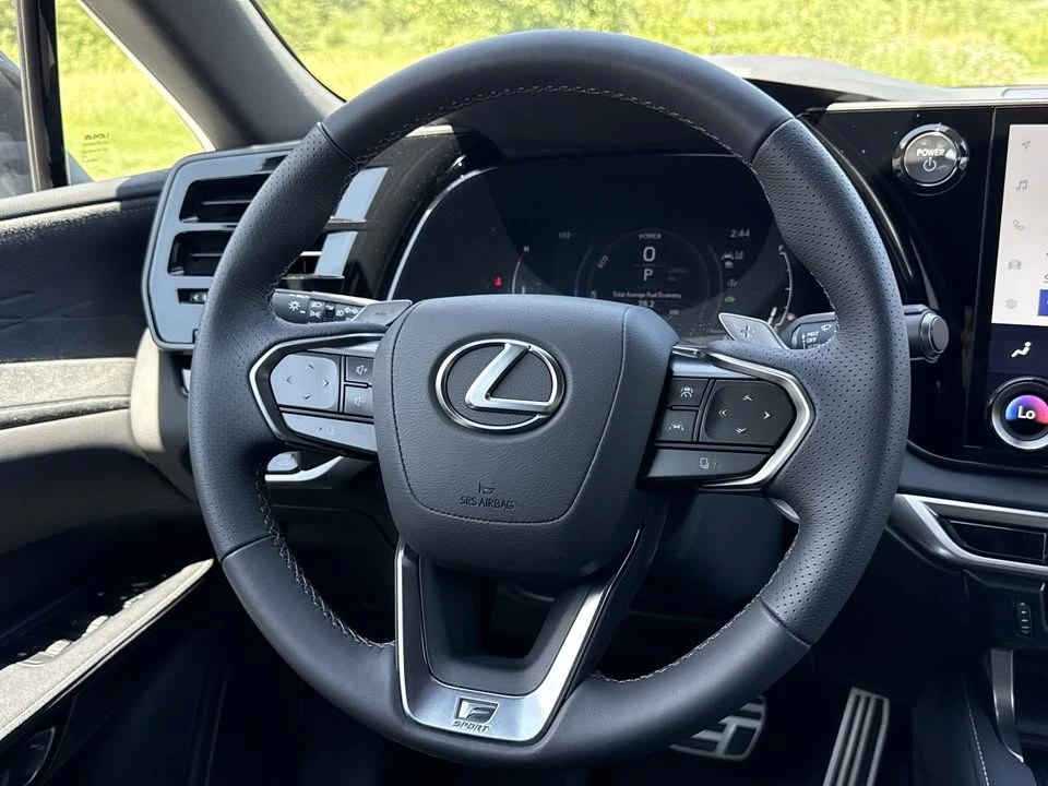 2024 Lexus RX 5th Gen - Image 14 of 20