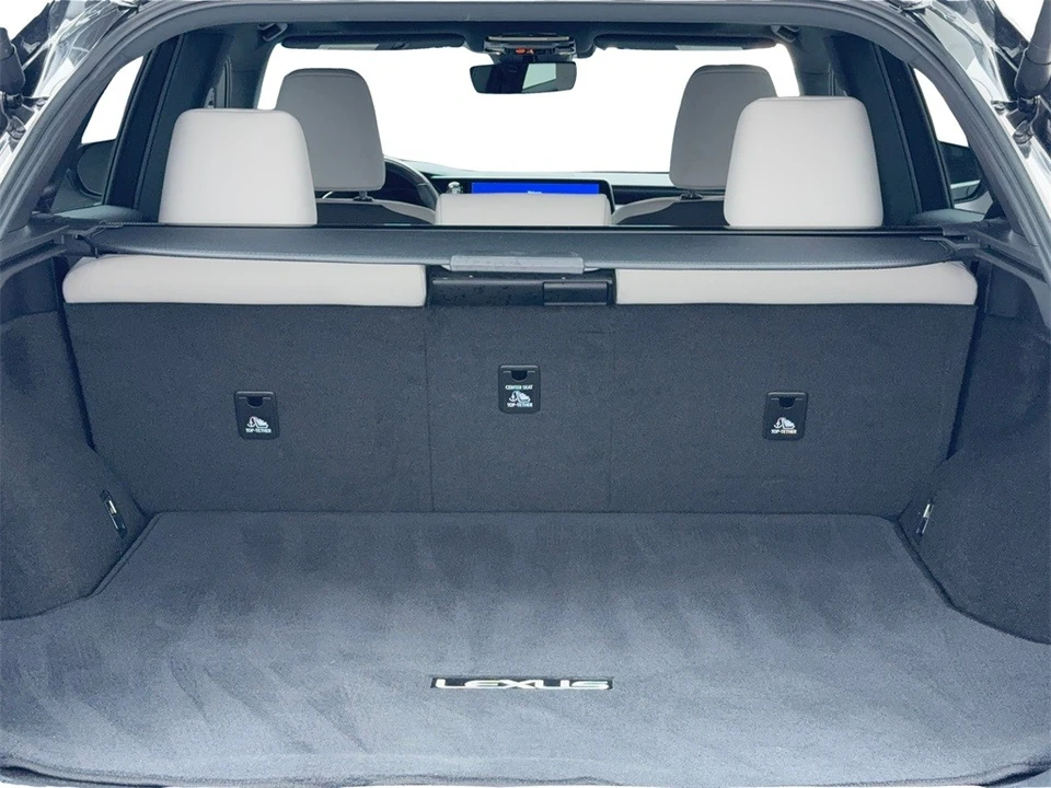 2024 Lexus RX 5th Gen - Image 12 of 12