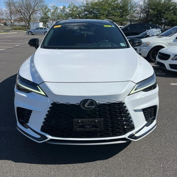 2024 Lexus RX 5th Gen - Image 10 of 12