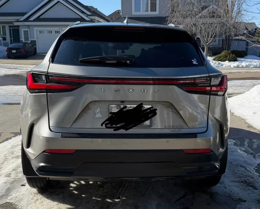 2024 Lexus NX 2nd Gen - Image 15 of 15