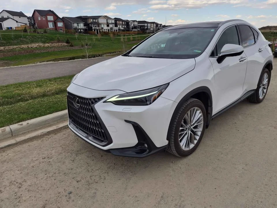2024 Lexus NX 2nd Gen - Image 6 of 19