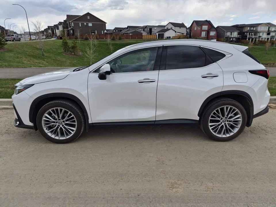2024 Lexus NX 2nd Gen - Image 7 of 19