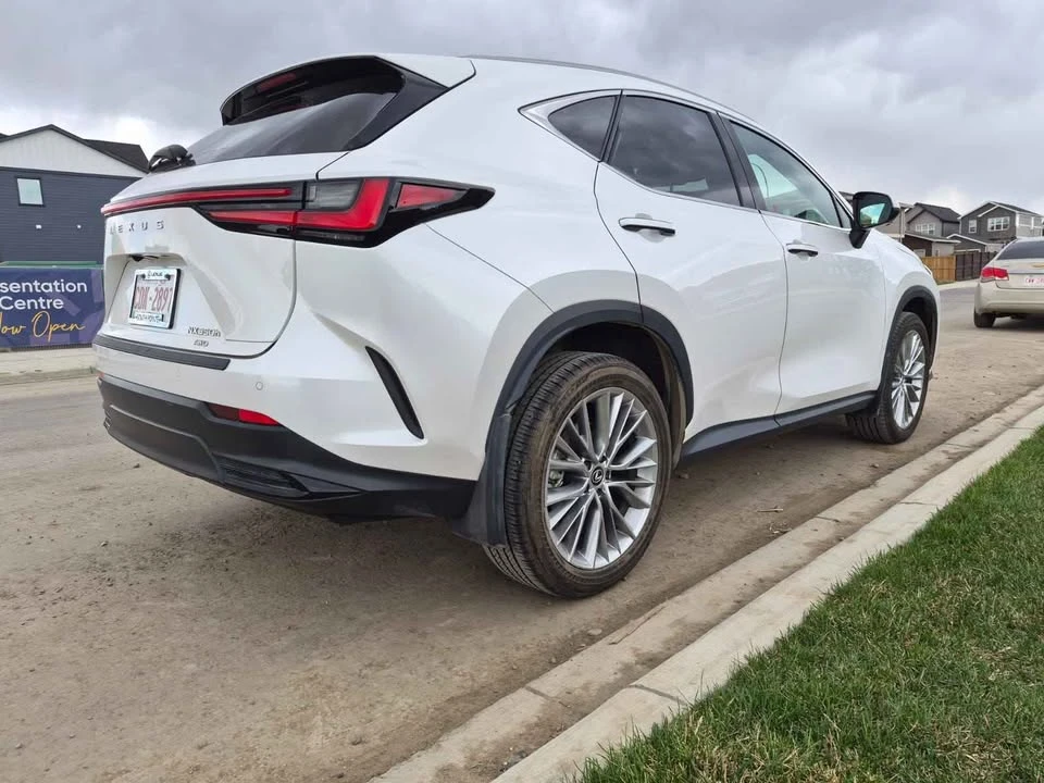 2024 Lexus NX 2nd Gen - Image 4 of 19