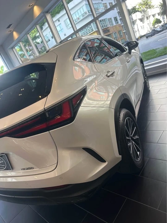 2024 Lexus NX 2nd Gen - Image 10 of 10