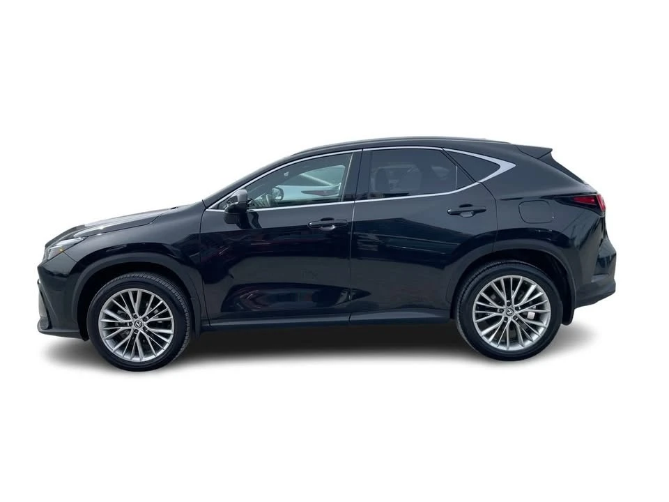 2024 Lexus NX 2nd Gen - Image 8 of 20