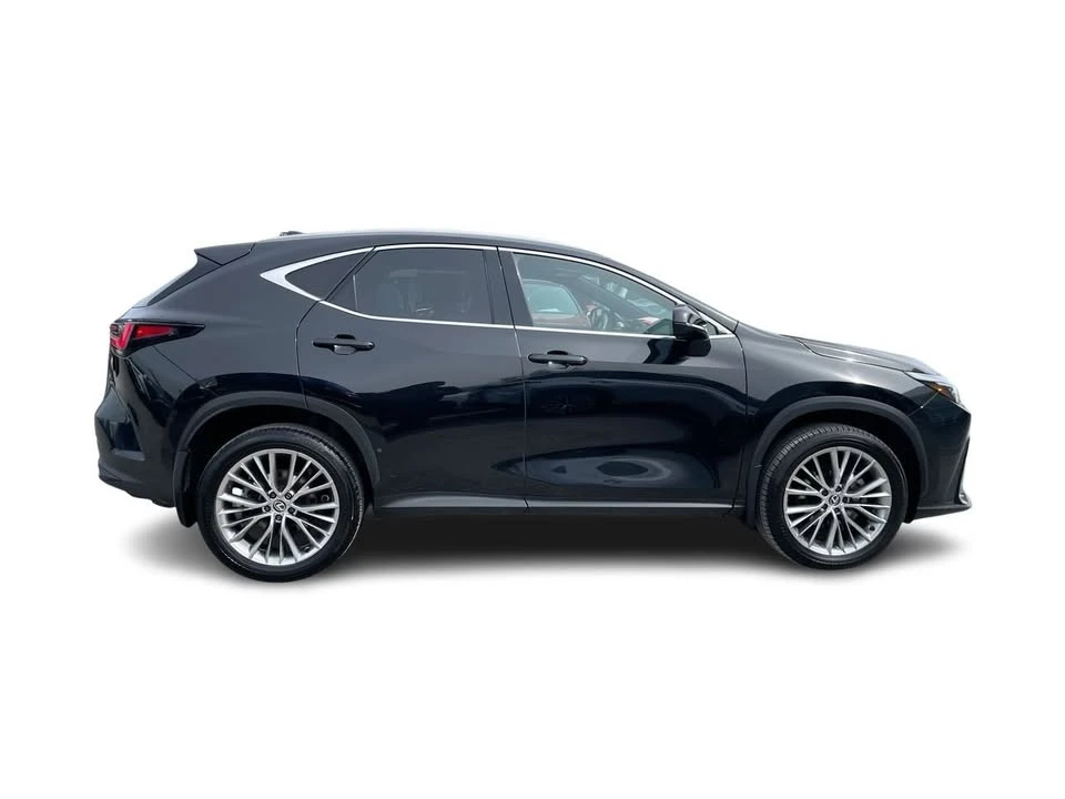 2024 Lexus NX 2nd Gen - Image 16 of 20