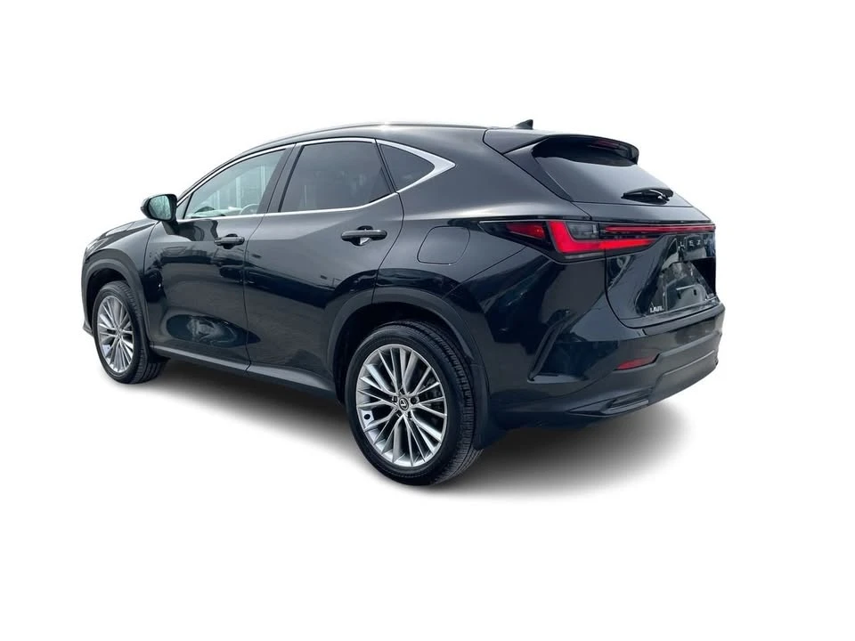2024 Lexus NX 2nd Gen - Image 10 of 20