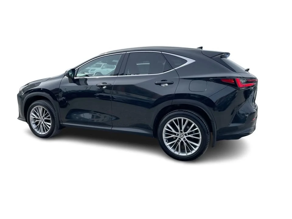 2024 Lexus NX 2nd Gen - Image 9 of 20